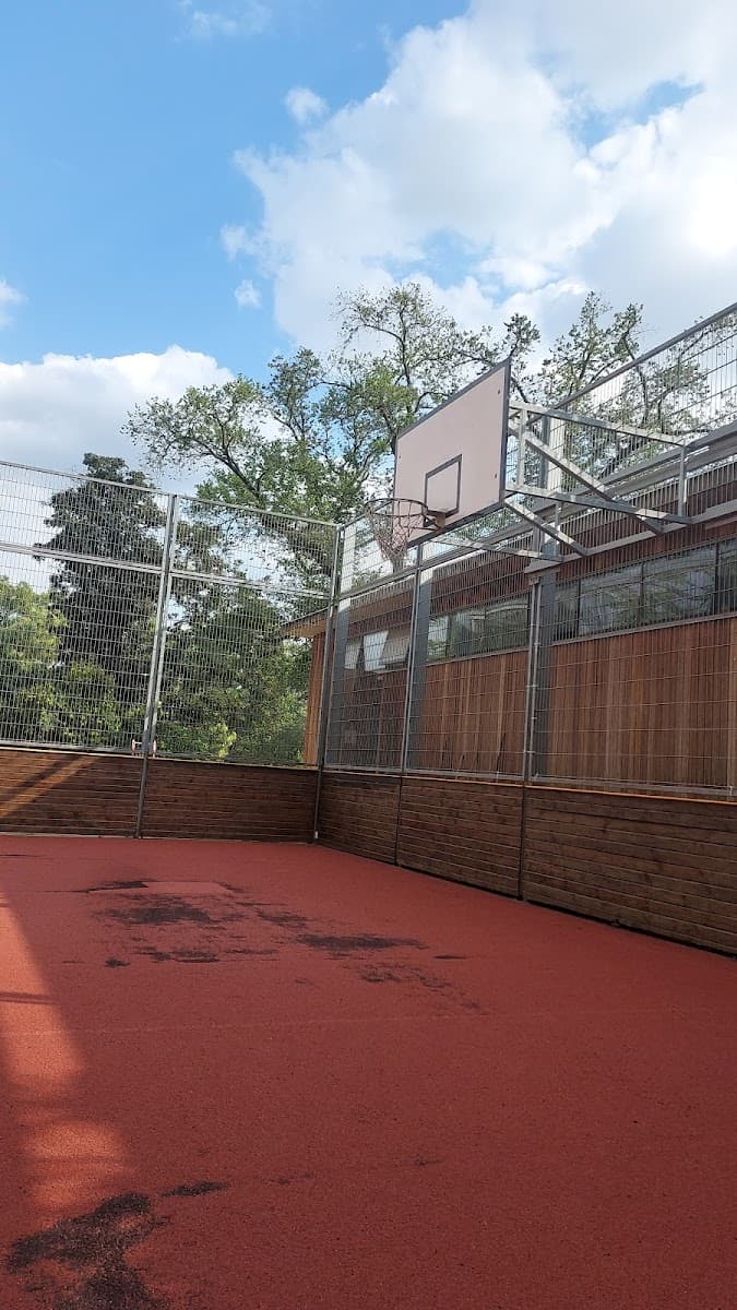 Basketball court