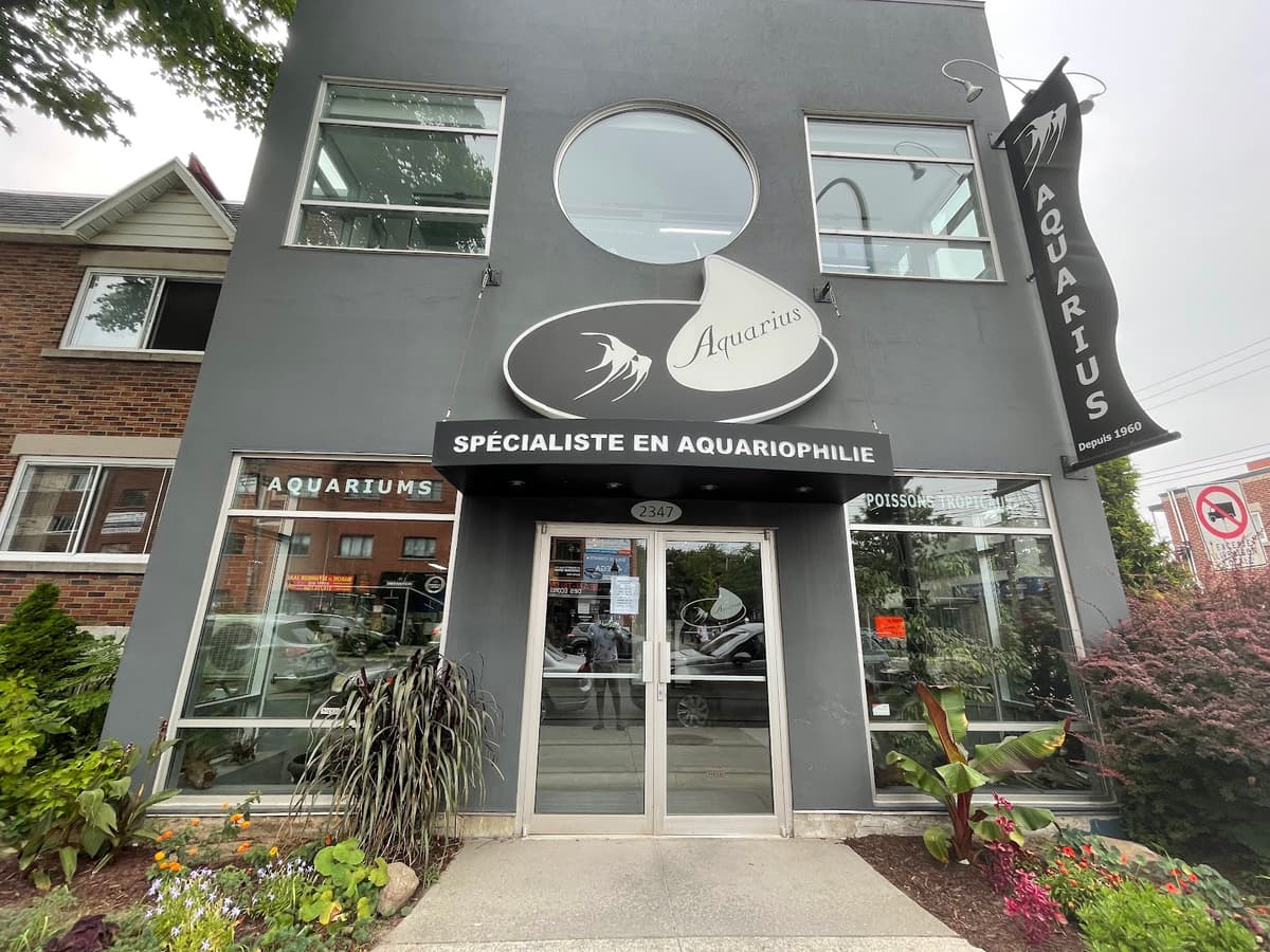 Aquarius Tropical Fish — photo 1 of 1