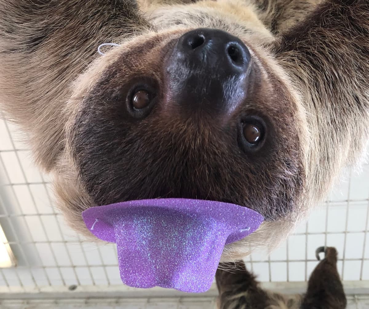 TGR Exotics Wildlife Park — photo 1 of 1