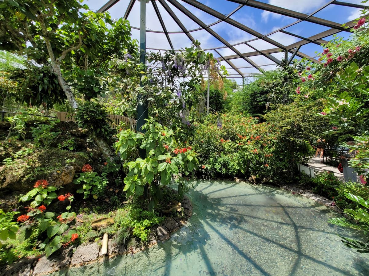 Butterfly World — photo 1 of 1