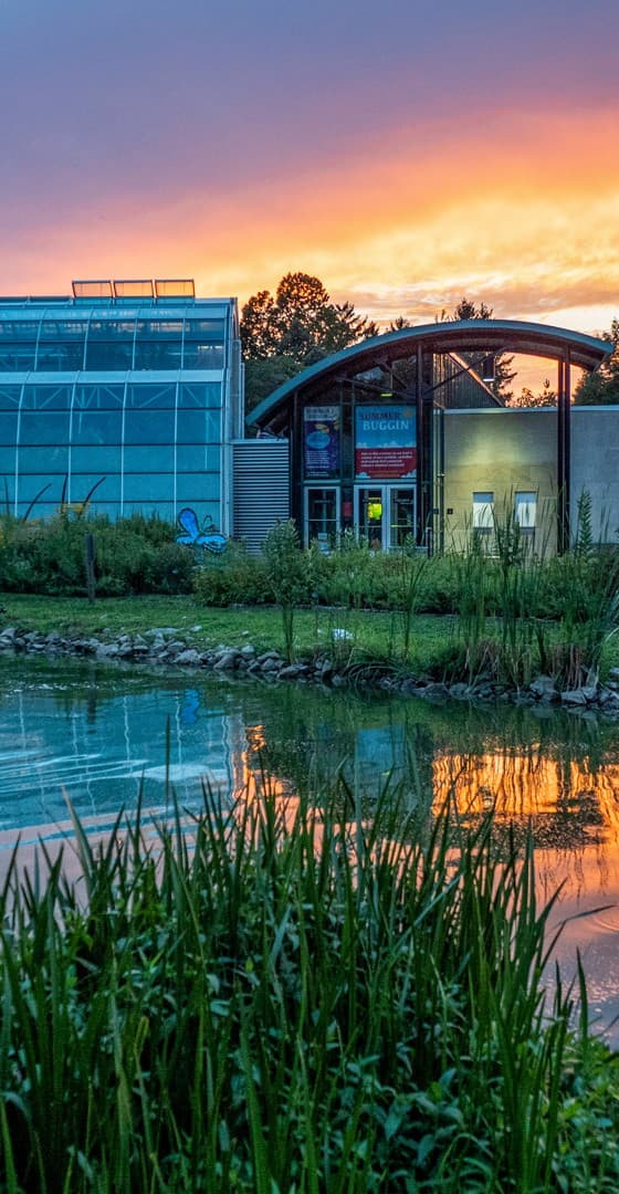 Sophia M. Sachs Butterfly House