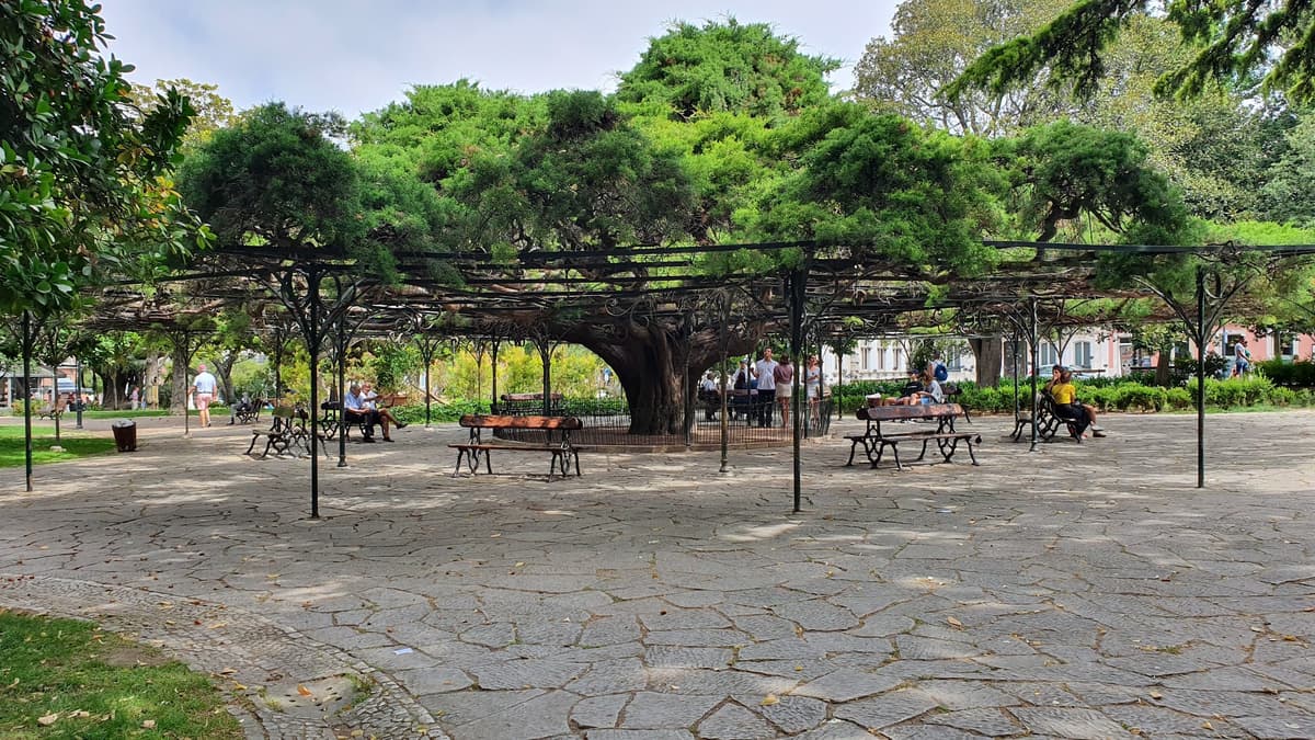 Principe Real Garden