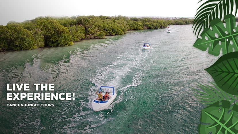 Jungle Tour Cancun
