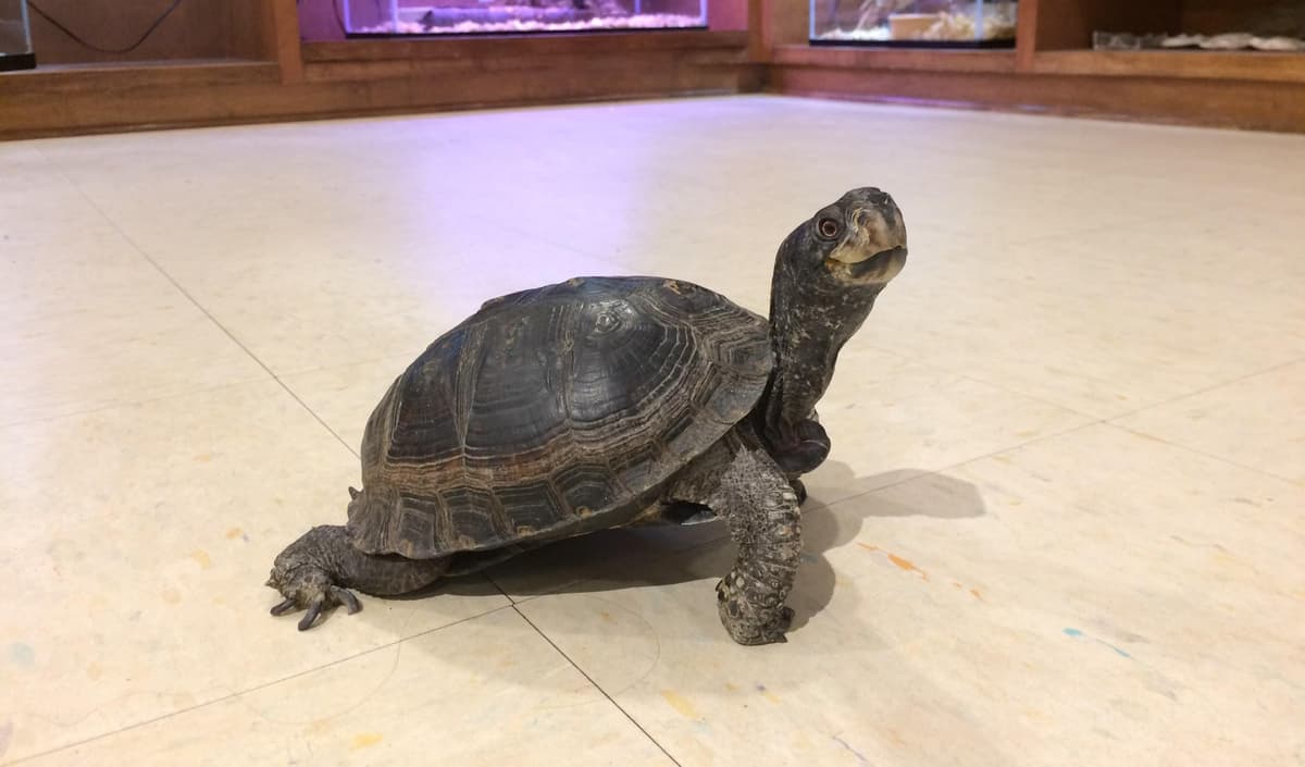 Gulf State Park Nature Center