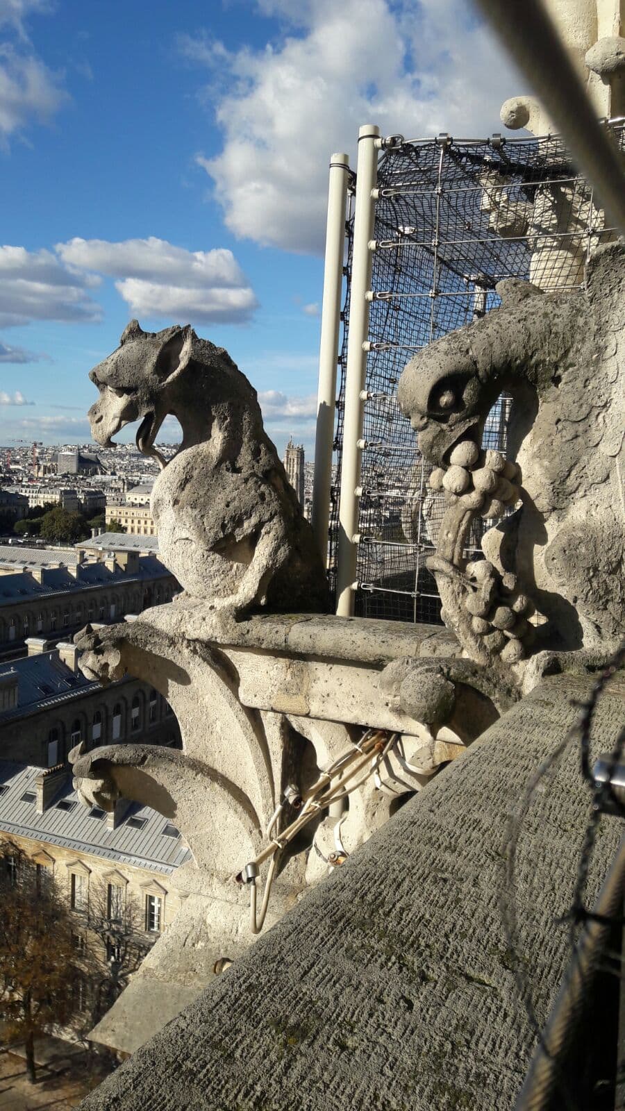 Paris Tours With Kids