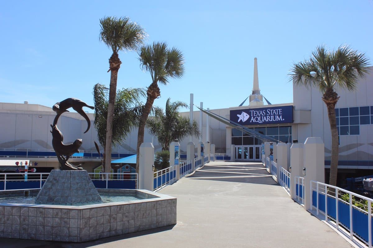 Texas State Aquarium