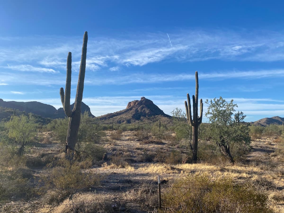 The Phoenix Zoo — photo 1 of 1