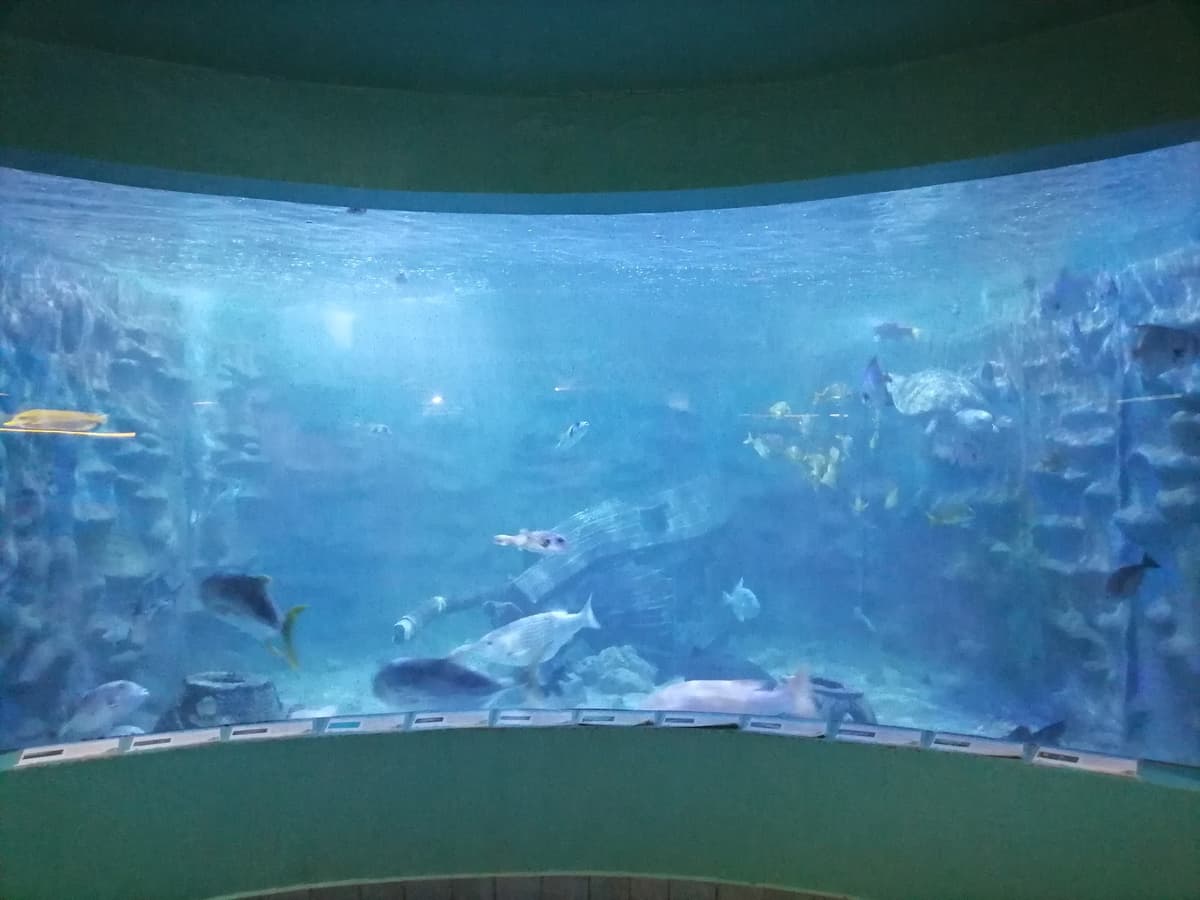 Parque Marino del Pacifico