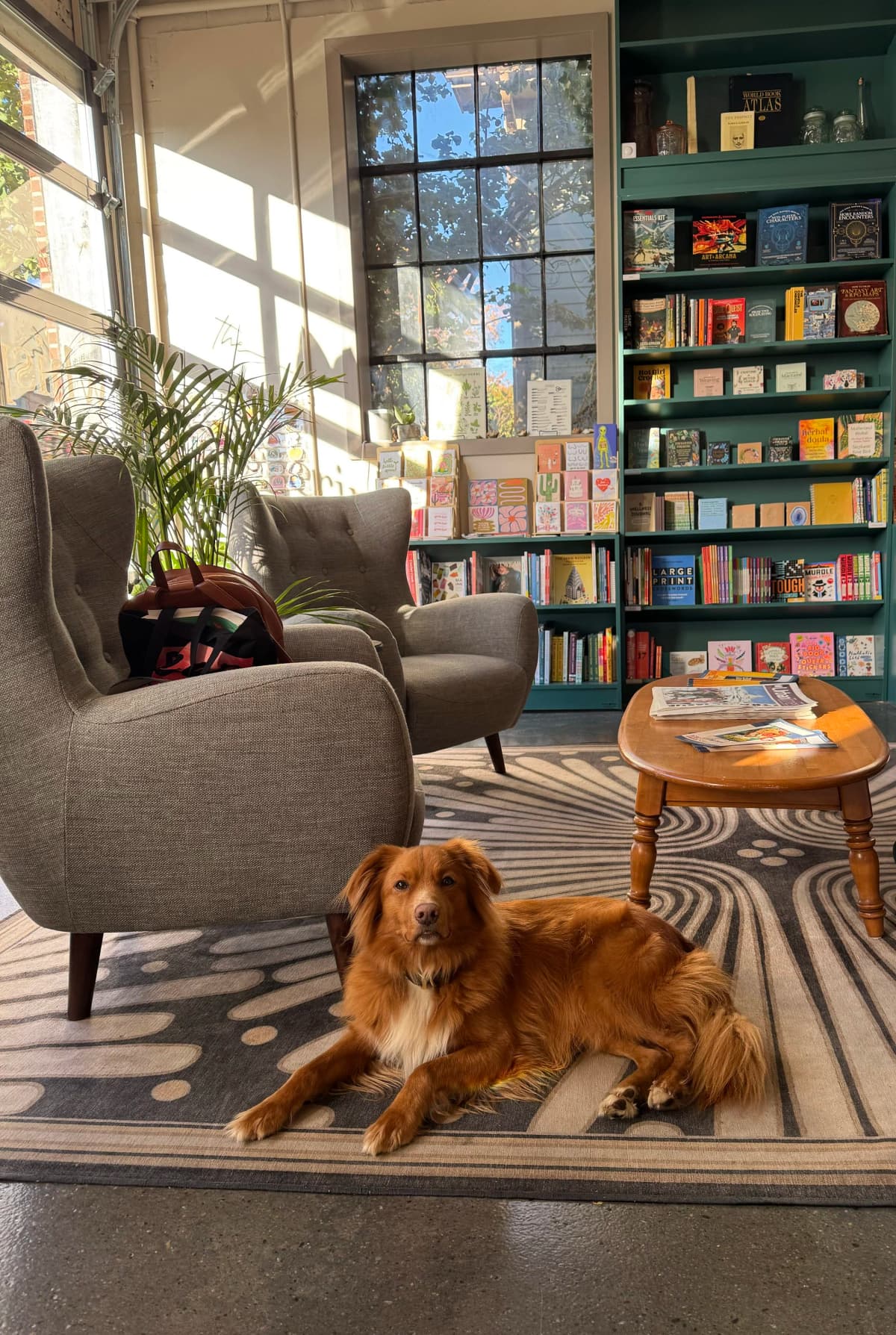 The Whispering Shelf