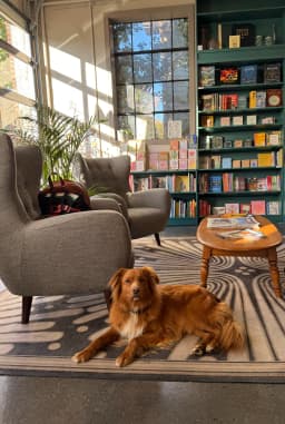 The Whispering Shelf