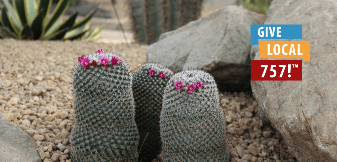 Norfolk Botanical Garden