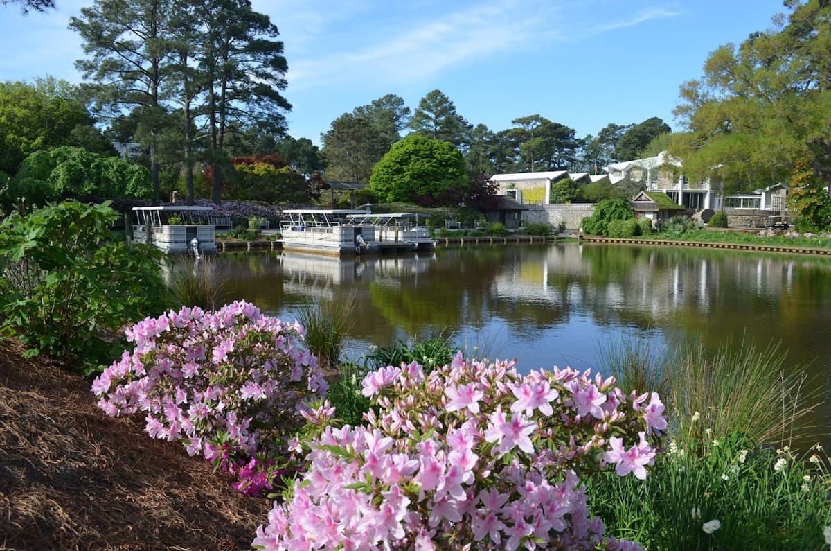 Norfolk Botanical Garden — photo 1 of 2