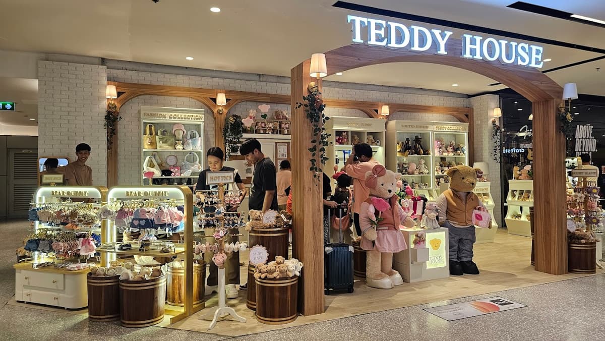 Teddy House