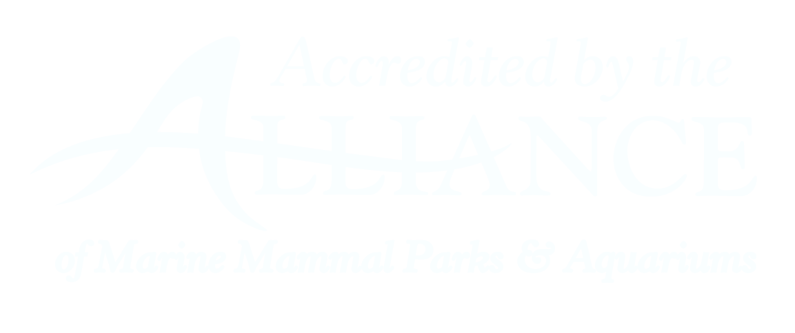 Clearwater Marine Aquarium