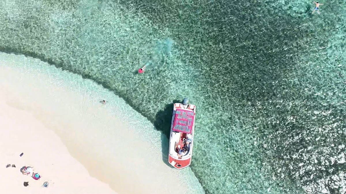 Blue Marlin Excursions