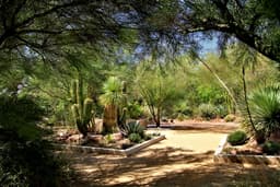 Botanical Garden at the Springs Preserve