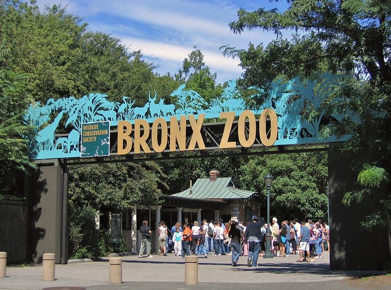 Bronx Zoo — photo 1 of 1