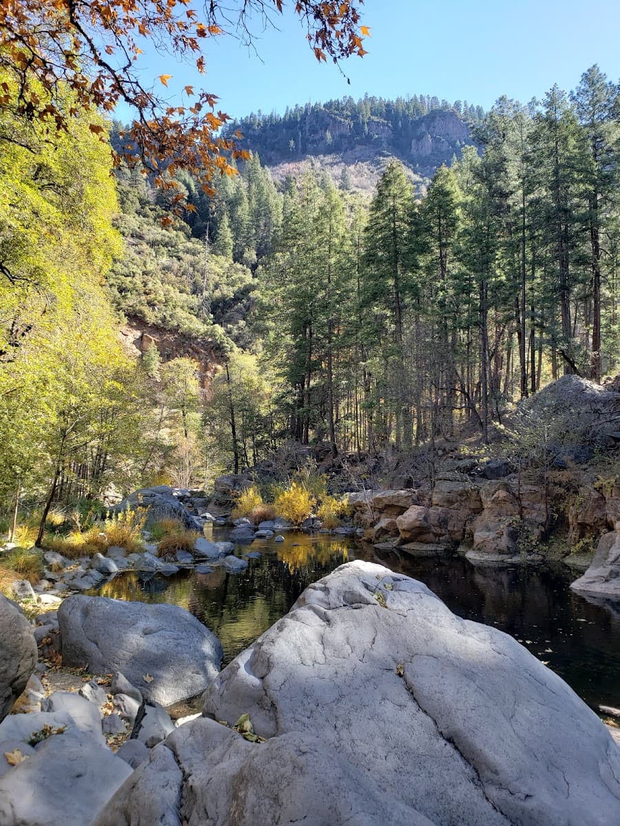 Bootlegger Picnic Area — photo 1 of 1