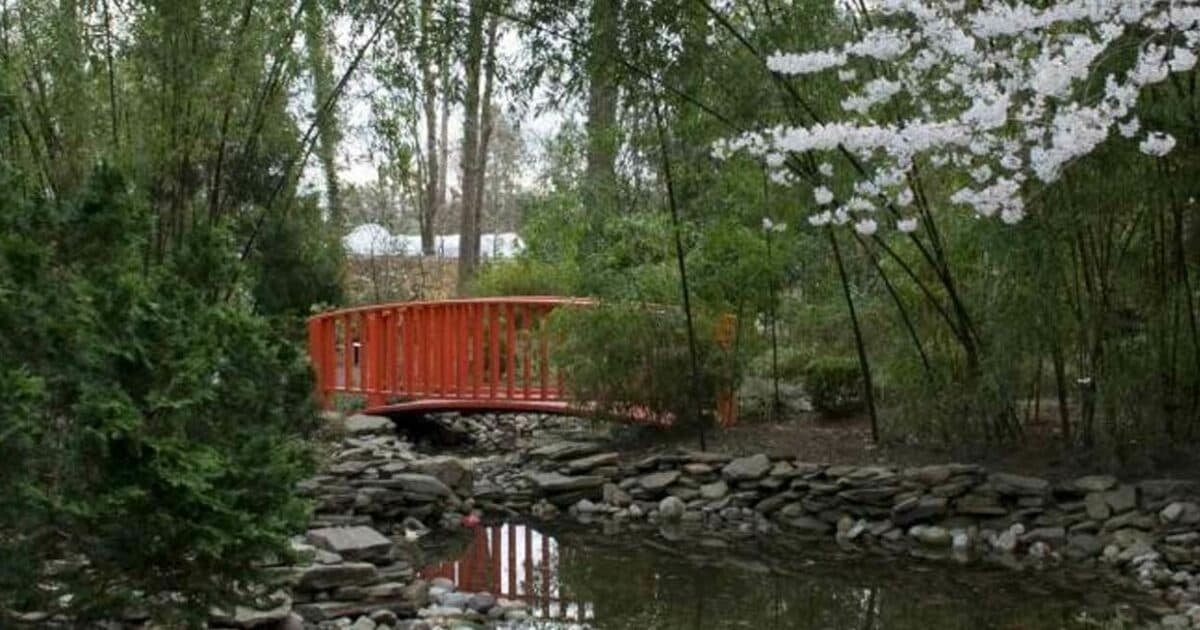 Red Wing Park — photo 1 of 1