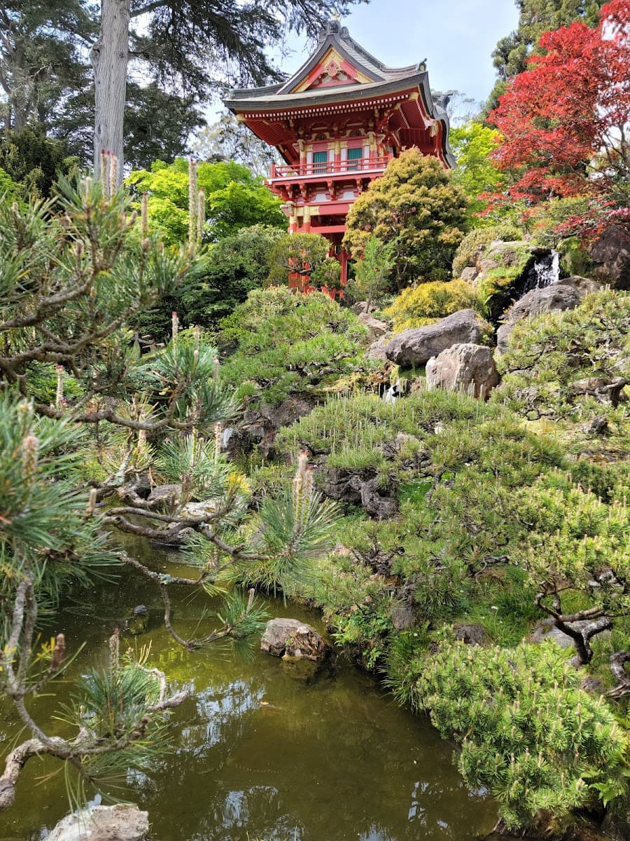 Japanese Tea Garden — photo 1 of 1