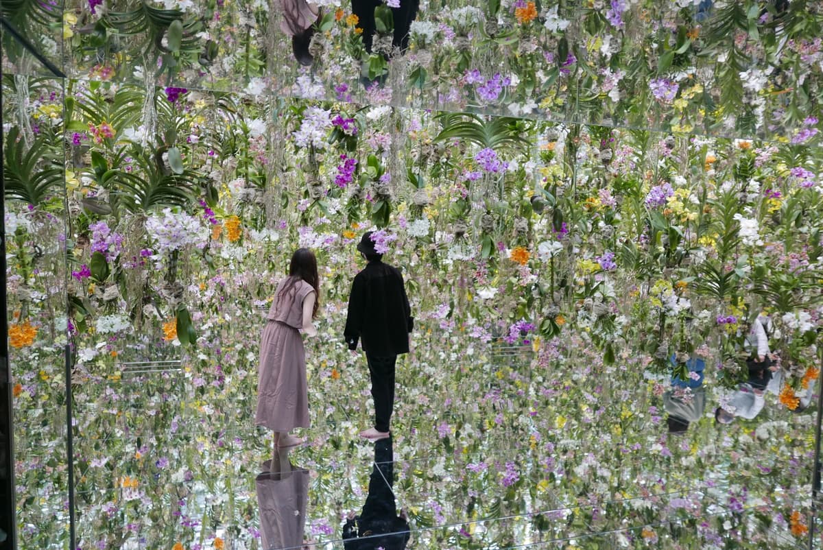 teamLab Planets TOKYO DMM