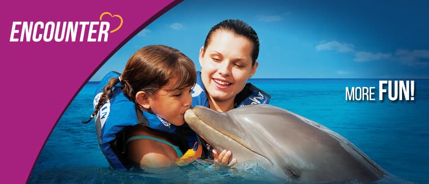 Bahamas Dolphin Adventure