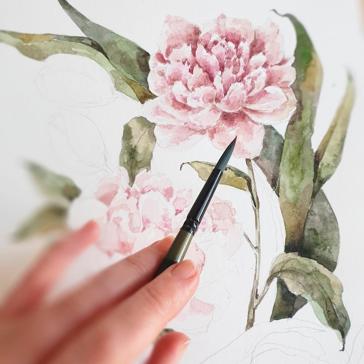 Mgr. Jitka Zajičkova - akvarel a výtvarne kurzy