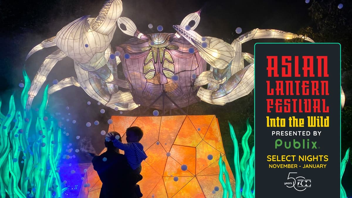 PASEO Asian Lantern Festival: Into the Wild PASEO — photo 1 of 2