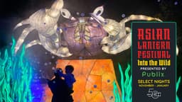 PASEO Asian Lantern Festival: Into the Wild PASEO