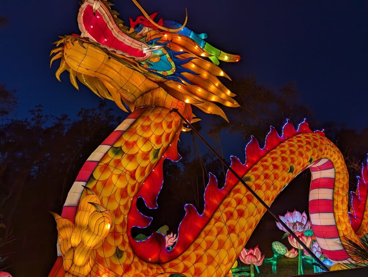 PASEO Asian Lantern Festival: Into the Wild PASEO