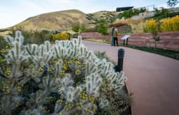 Water Conservation Garden at Red Butte Garden and Arboretum