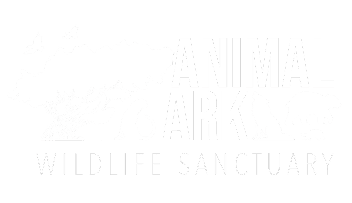 Animal Ark