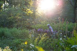 Jenkins Arboretum & Gardens