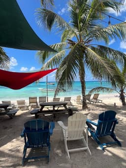 Punta Cana Corazon Excursions