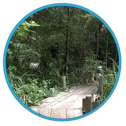 Edith L Moore Nature Sanctuary