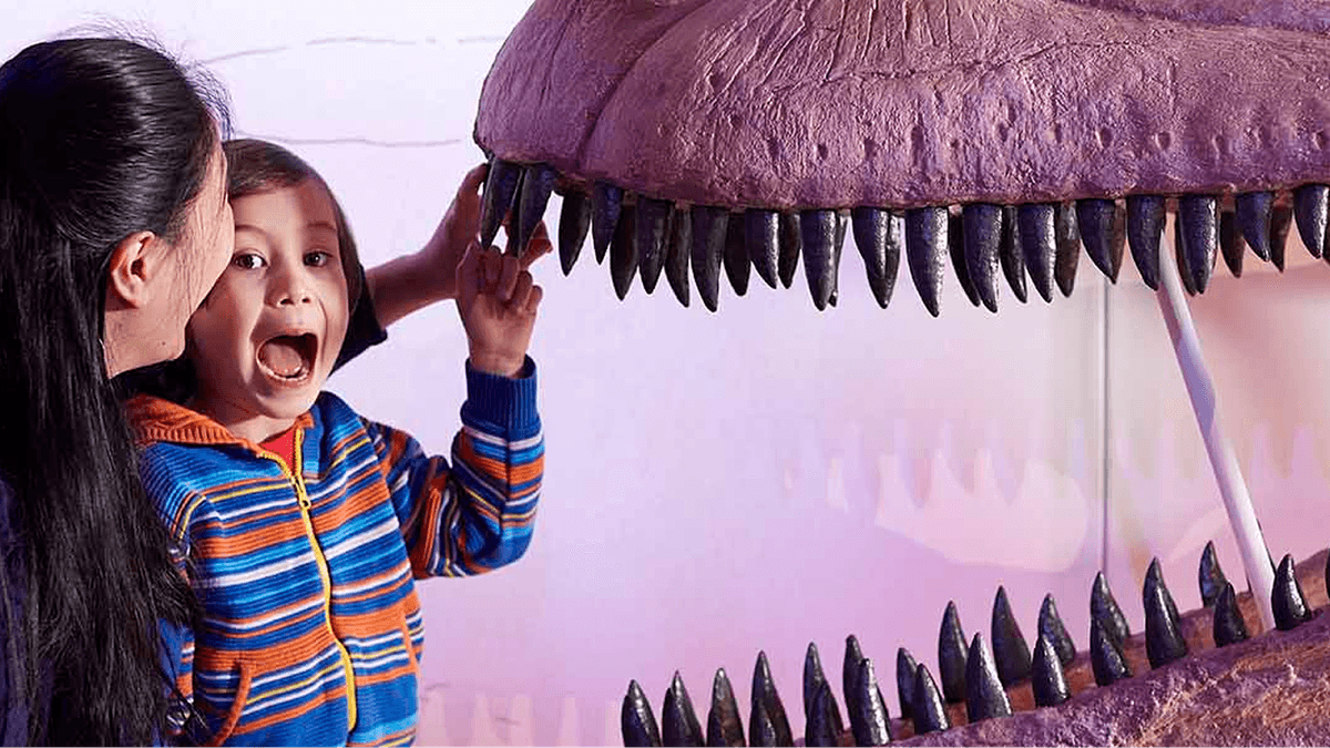 Natural History Museum