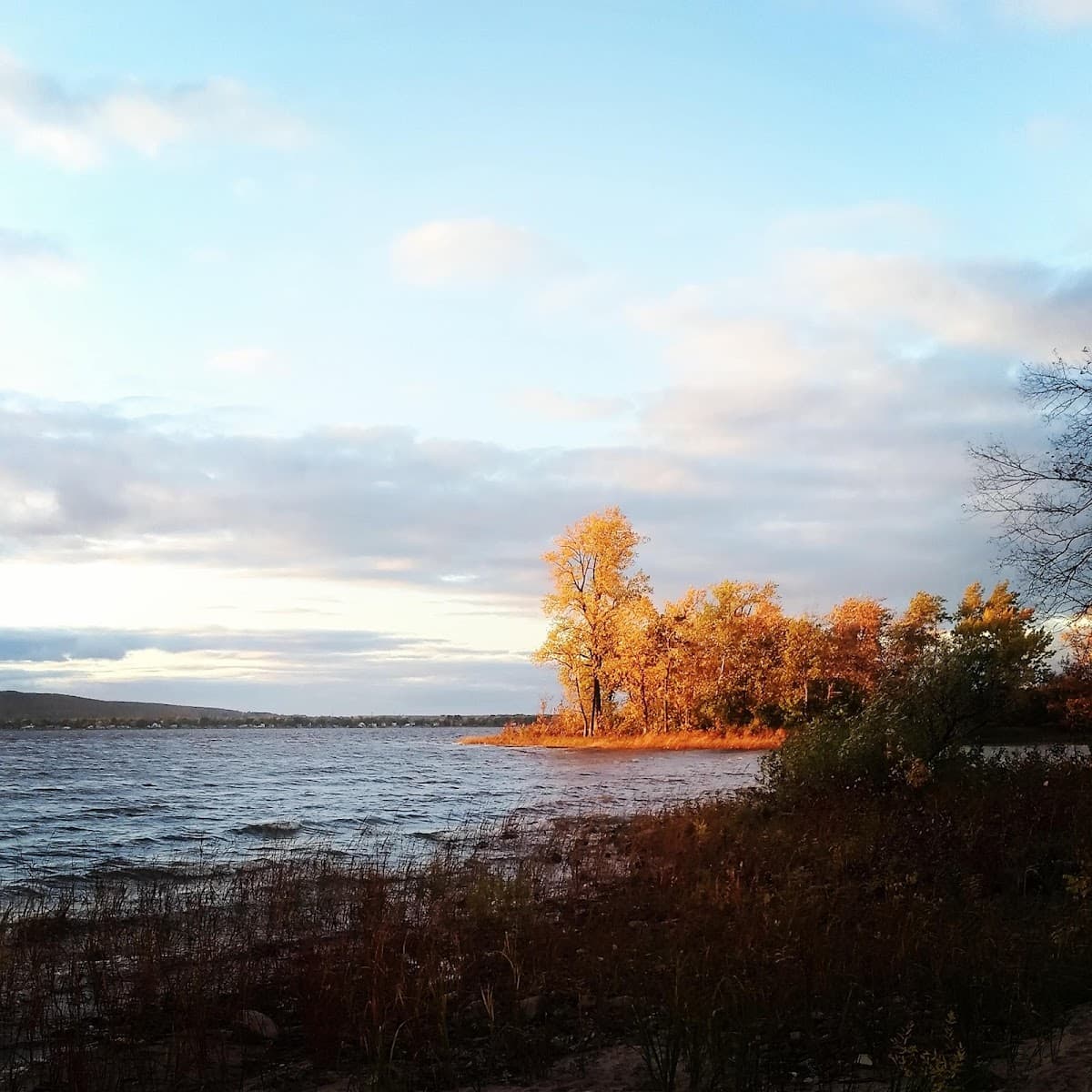 Centre de plein air du parc-nature Cap-Saint-Jacques