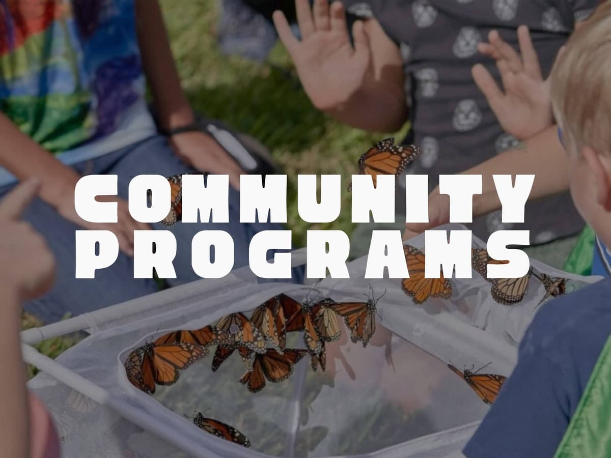 Zilker Botanical Garden