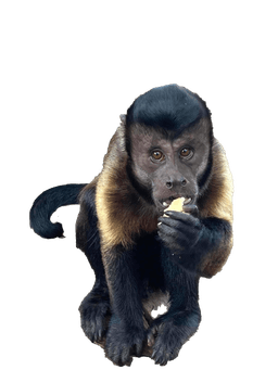 Texas Wildlife Park and Education Center