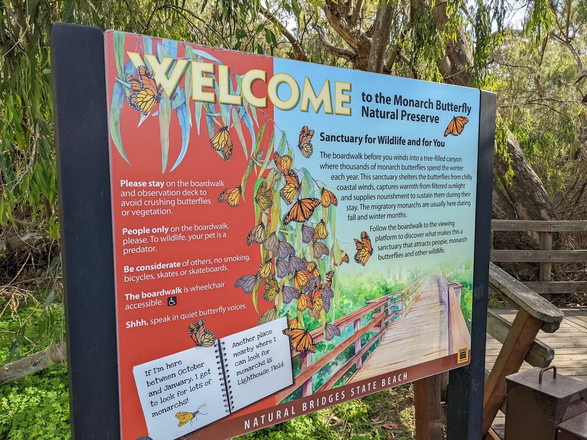 Natural Bridges Monarch Trail — photo 1 of 1