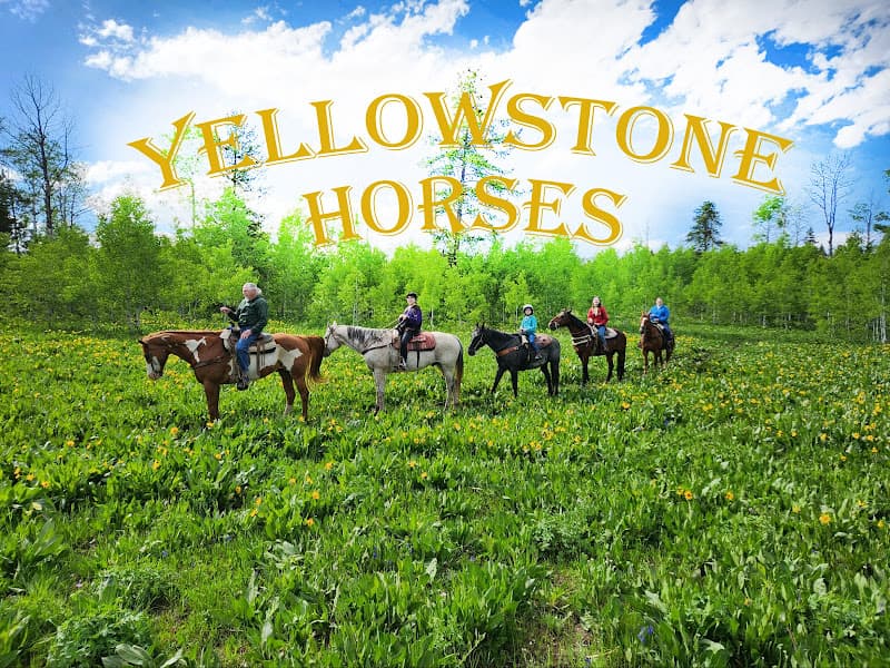 Yellowstone Horses at Eagle Ridge Ranch