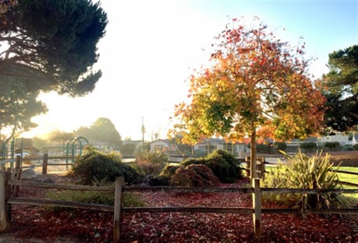 Garfield Park — photo 1 of 2