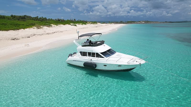 Wild Willy's Water Sports & Tours