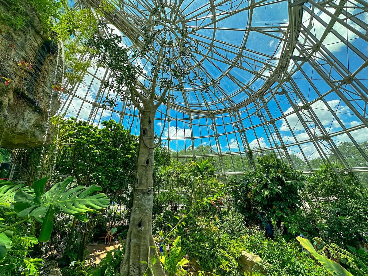 Cockrell Butterfly Center — photo 1 of 1