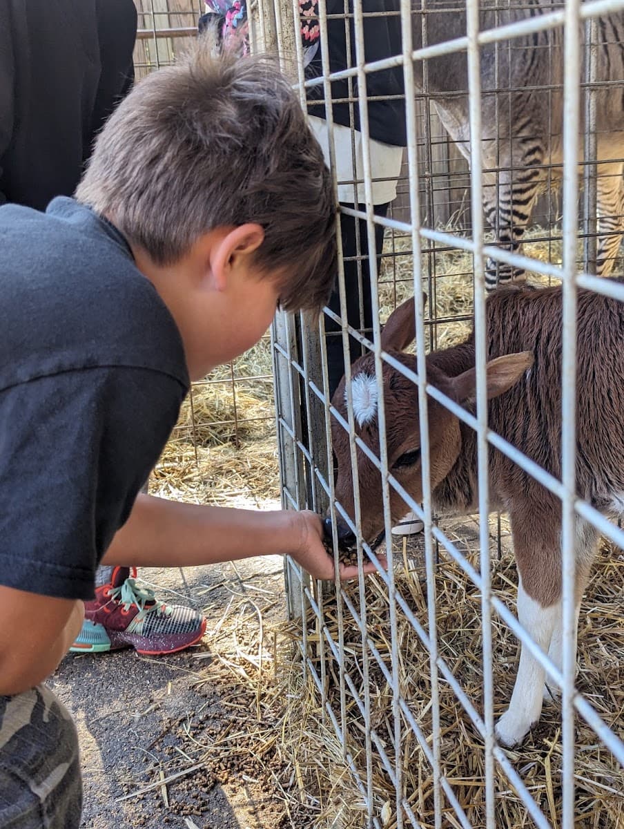 Little Ponderosa Zoo and Rescue — photo 1 of 1