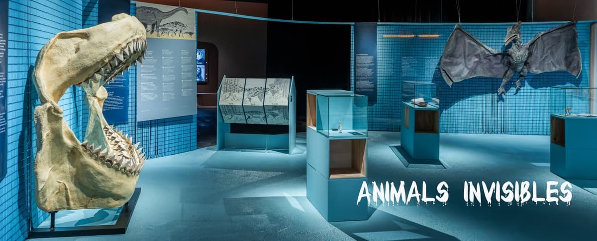 Museum of Natural Sciences of Barcelona