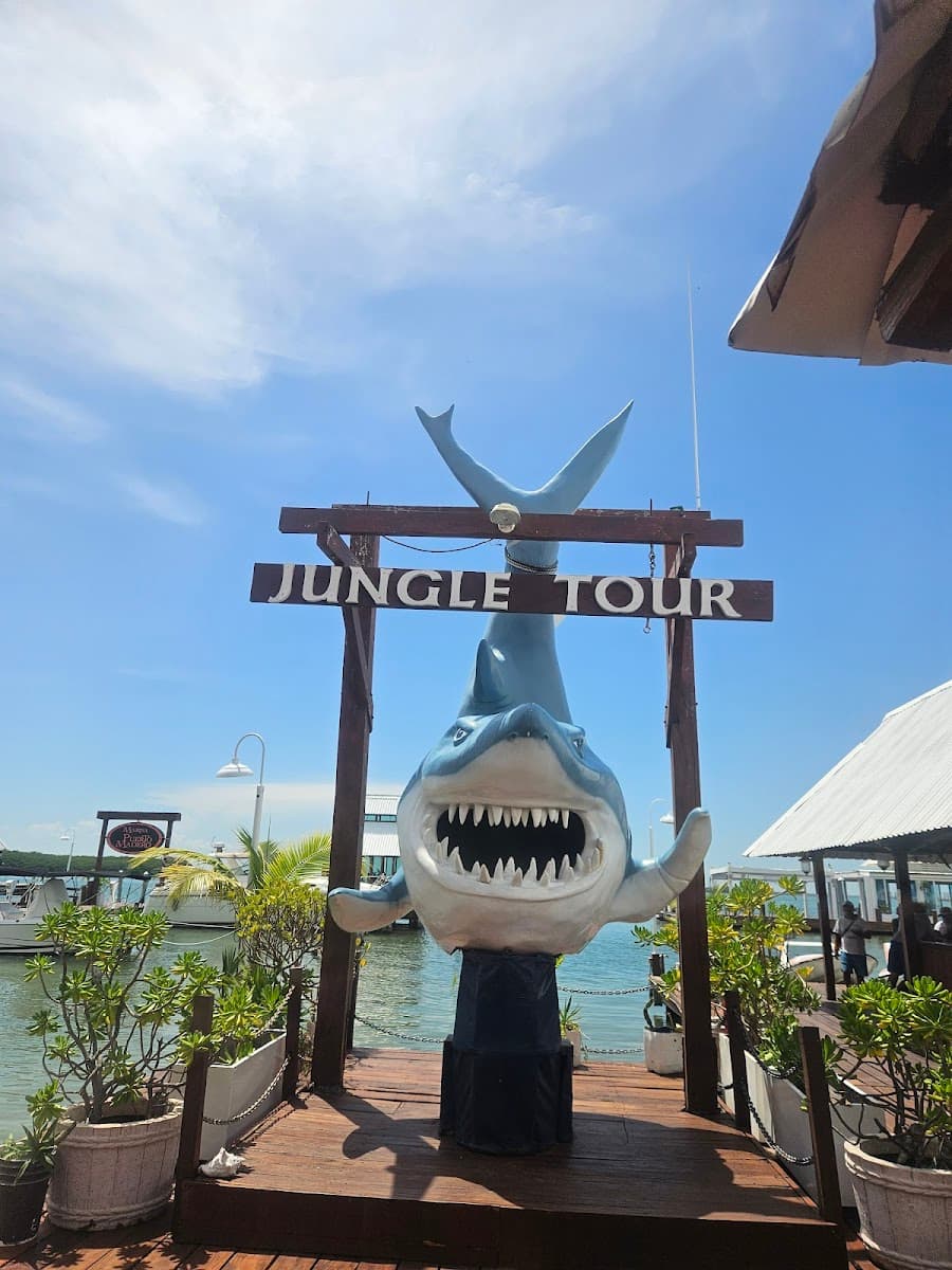 Jungle Tour Barracuda