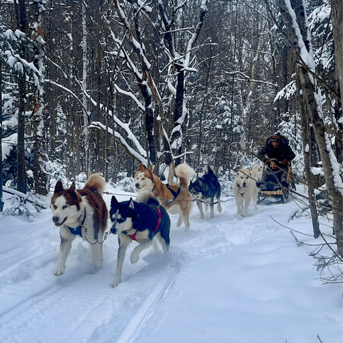 Aventures Plein Air St-Hippolyte