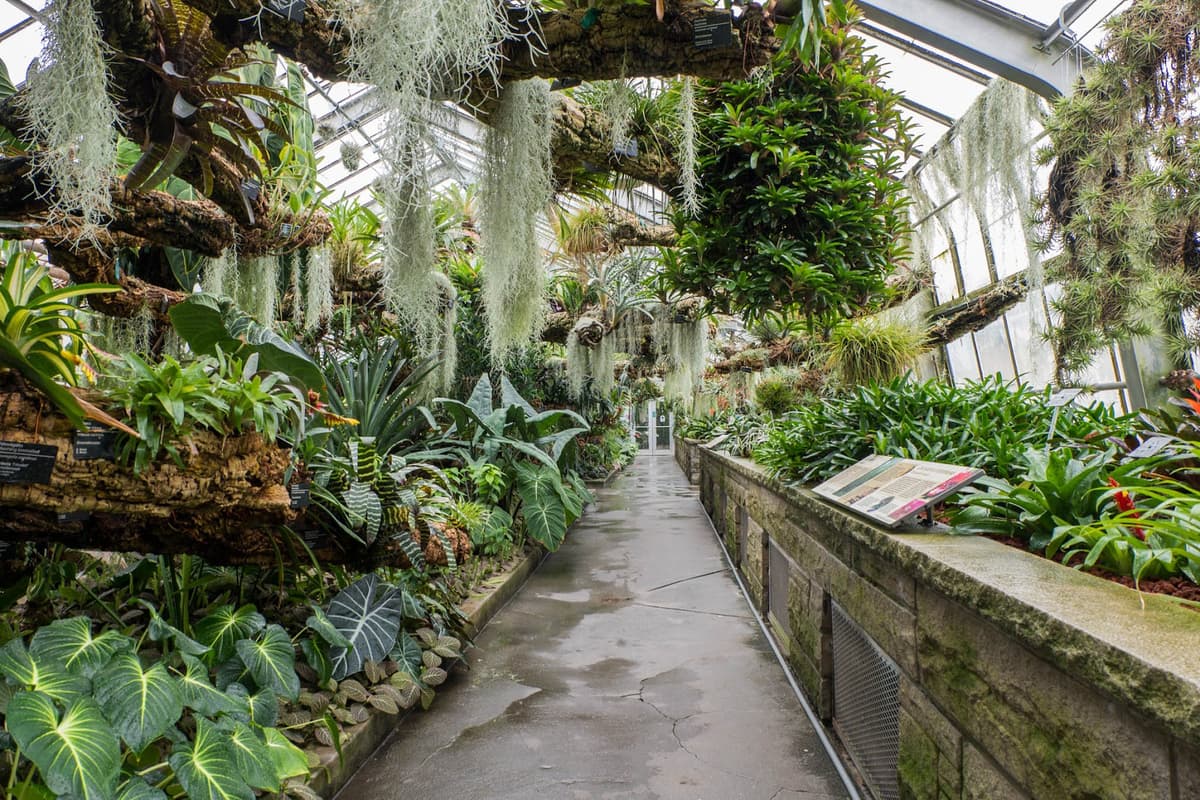 Space for Life — photo 1 of 1