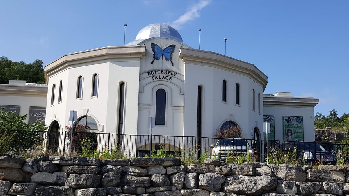 The Butterfly Palace & Rainforest Adventure — photo 1 of 1